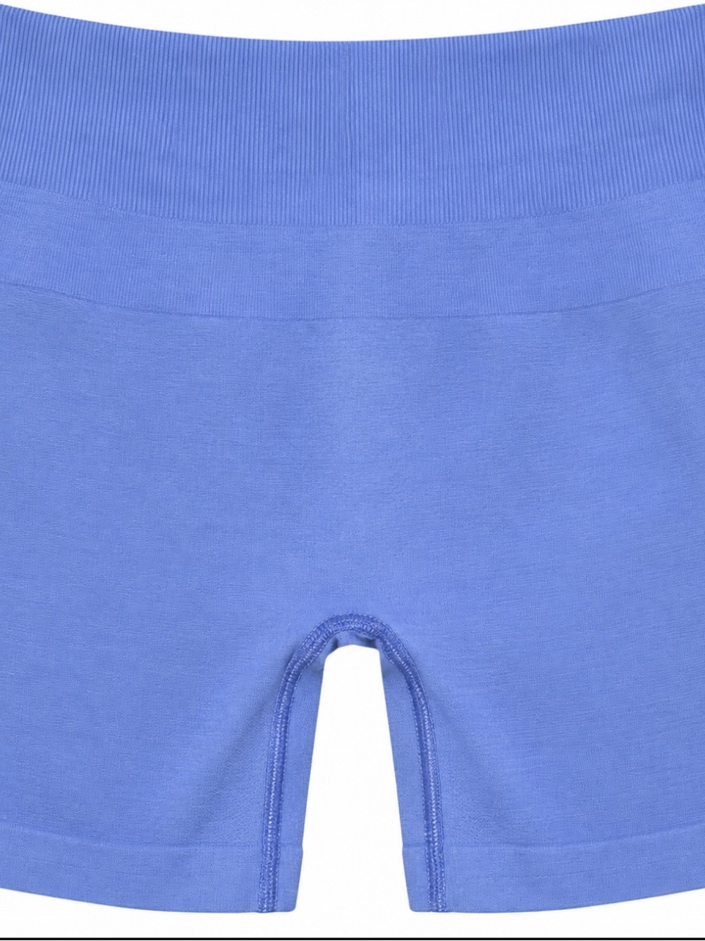 Alphalete Seamless Periwinkle Bike Shorts